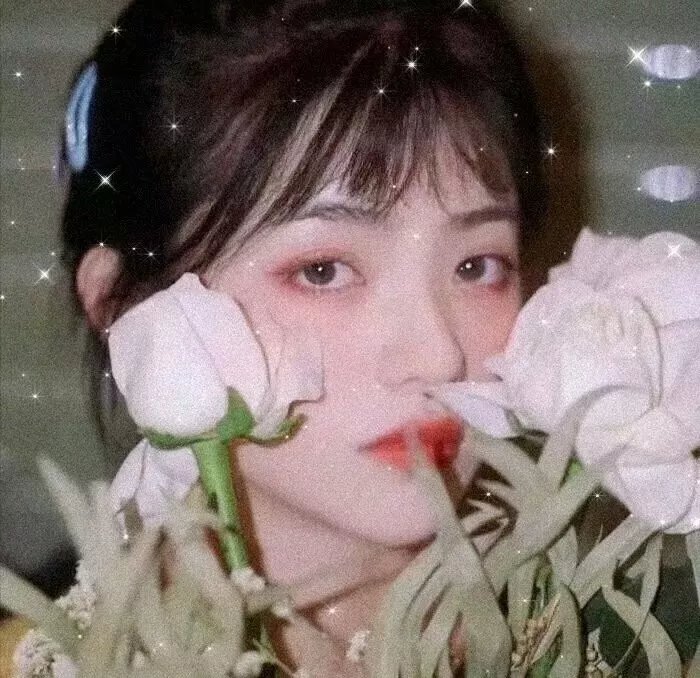 小王子 封面
