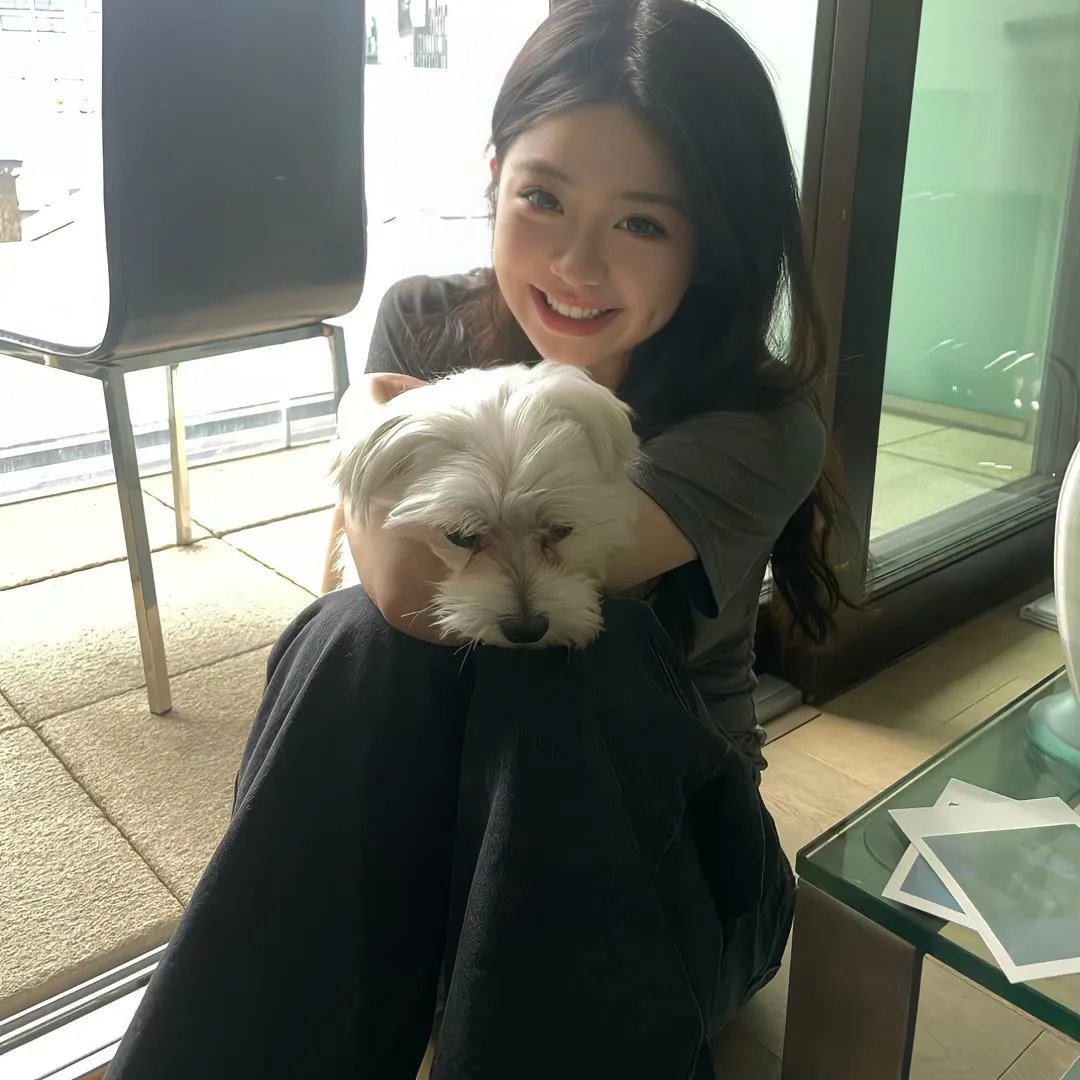 乐队指挥 封面